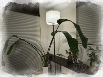 efd169b4d4e96e28103d649714ccc081